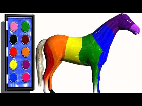 COLORIAGE 3D CHEVAL DESSINER vidéo éducative & Planète coloriage