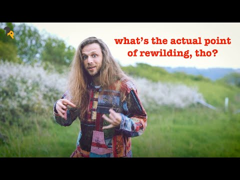 how I feel about rewilding.