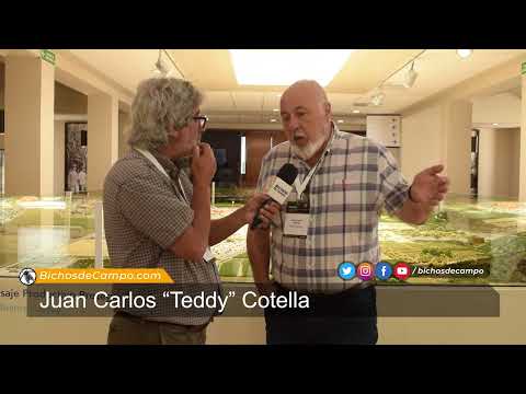 Juan Carlos “Teddy” Cotella,  Productor de Sachayoj en Santiago del Estero