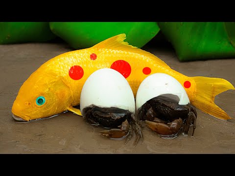 Cua Đồng Săn Trứng Cá Chép Vàng Và Koi Đỏ Vui Nhộn 💕 Primitive Cooking 💕 Stop Motion ASMR 💕 Coco