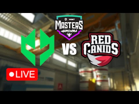 🔴 [ENG] Imperial vs RED Canids | CBCS Masters 2024 Finals