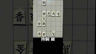 【5手詰】四方八方から玉をロックオン！包囲網を完成させる絶妙な初手は？ #もりけん #詰将棋 #TsumeShogi #Shogi #shorts
