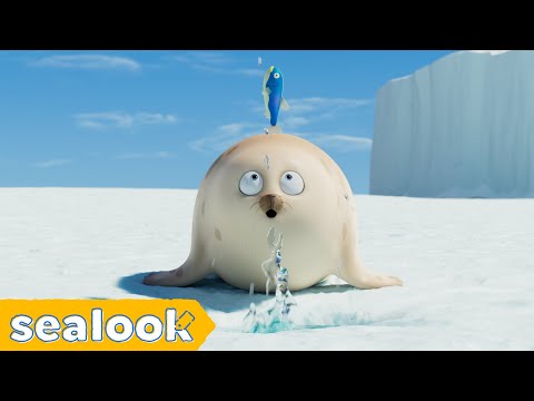 Spiel fangenㅣSEALOOKㅣEP.105