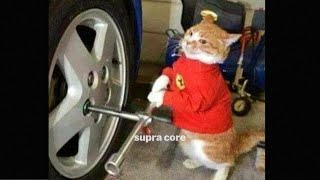 supra core