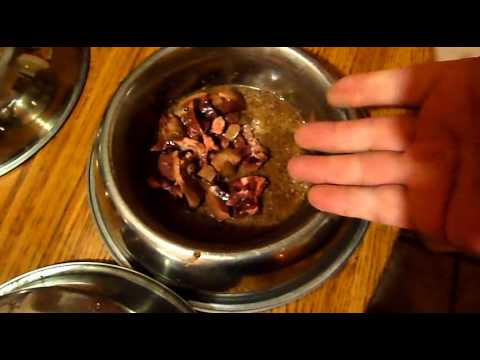 YouTube video about: How to cook beef kidney for dogs?