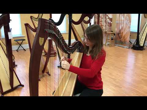 Used Lyon & Healy Ogden #3026