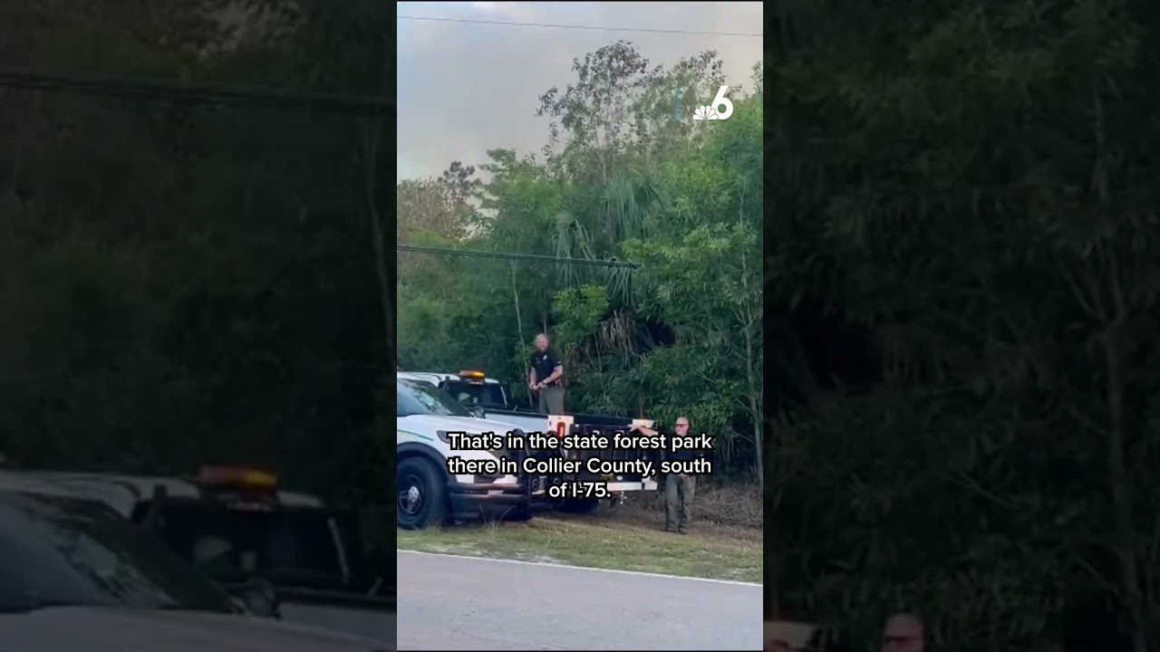 Evacuations ordered in Florida as brushfire burns 1,500+ acres