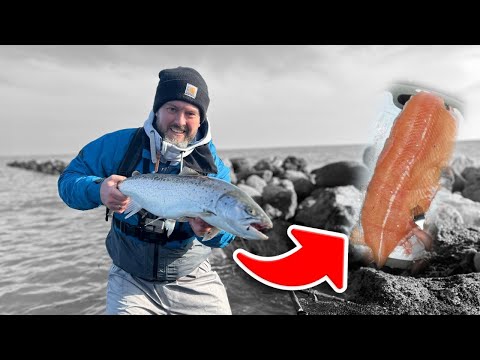 Meerforellenangeln mit Blinker: Der entscheidende Trick für Fang statt Schneider [Filitieranleitung]