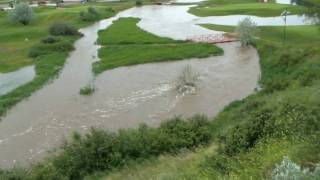 preview picture of video 'Flood 2010: Medicine Hat's Ross Creek Golf Course'