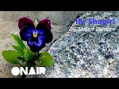 Ilir Shaqiri -  Statujë Dardane