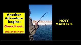 Lets go Fishing.. But we didnt expect to catch this bad boy!