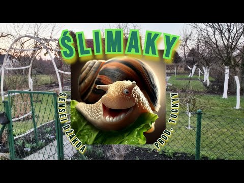 Sensei Dżakba - ŚLIMAKY (prod. Tockyy)