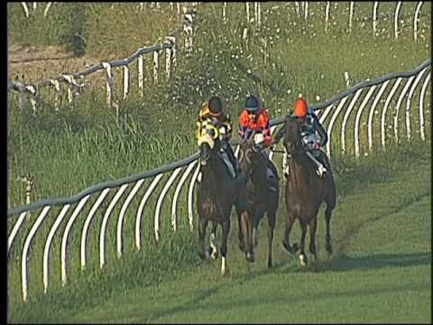 Galoppo 03/08/2016 - 2° corsa