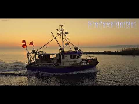 Carpe Diem - Nutze den Tag