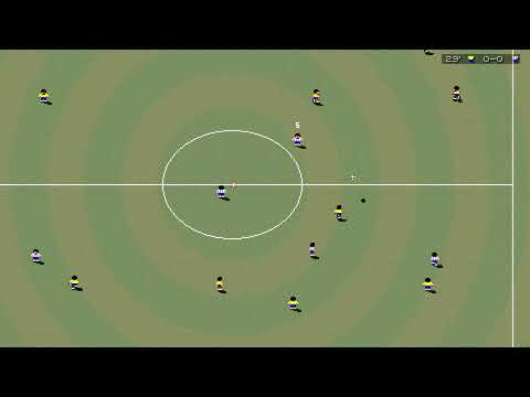 SWOS: Polish commentary for SWOS 2020