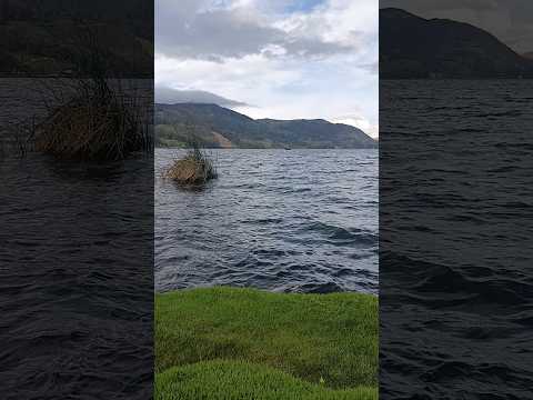 Laguna de pacucha Andahuaylas Apurimac #parati #travel #vistashermosas #viajes #travesia