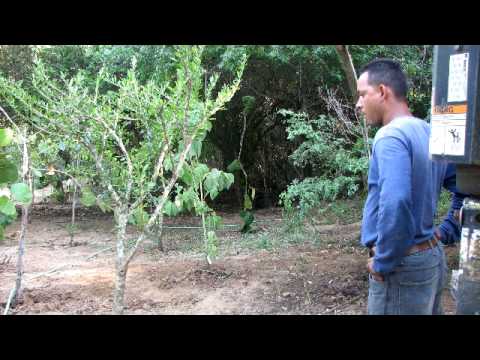 Victor Gonzalez vs. Culebra - Muellecito/Flamenco Playa