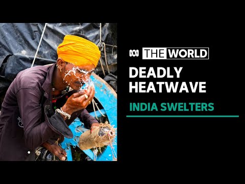 India battles through a deadly heatwave | The World