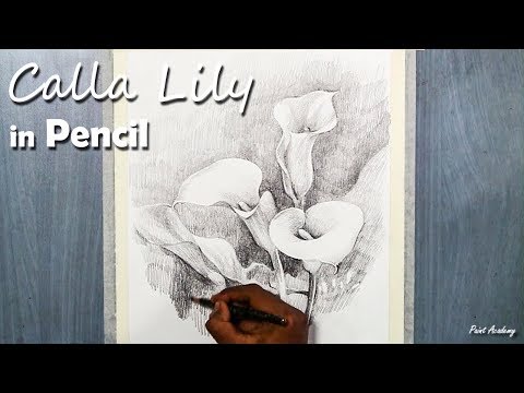 Mountains and Pine Tress Watercolor Pencil Landscape Drawing | steps to follow