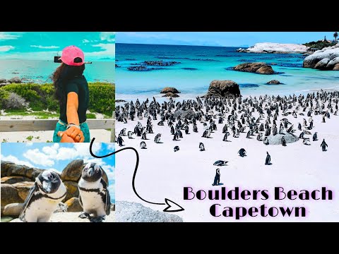 Boulders Beach Vlog | African Penguins | Cape Town I South Africa #bouldersbeach