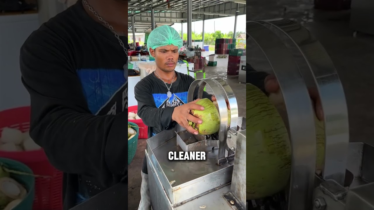 Coconut Cutting Machine Business l #shorts #usa #usabusiness #usashorts #coconut #machine #business