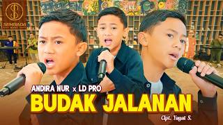 Download lagu BUDAK JALANAN - ANDIRA NUR X LD PRO ( LIVE MUSIC VIDEO) mp3