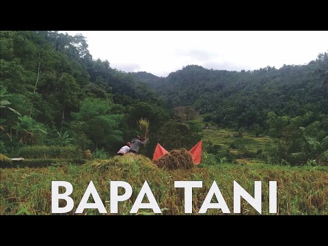 Lagu Sunda: BAPA TANI (Cover Video)