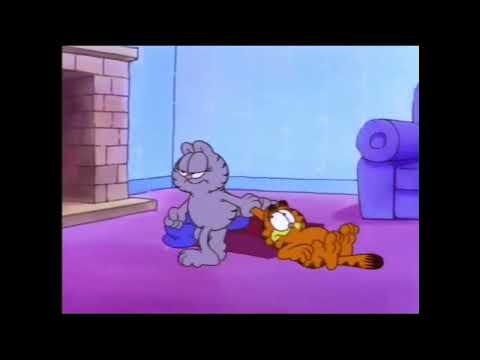 "You're not going to mail me to Abu Dhabi again, are you?!" [Garfield Clip]