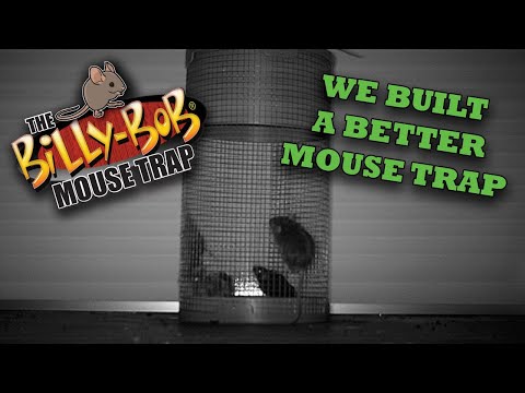 video_thumbnail2