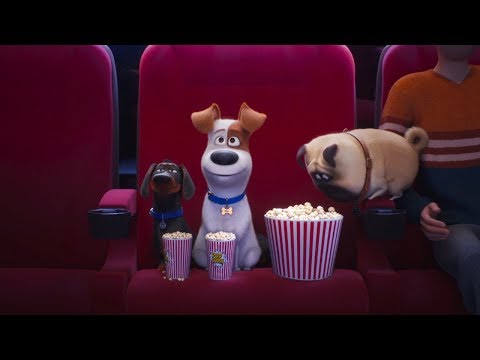 A kis kedvencek titkos élete 2 - Max és a popcorn