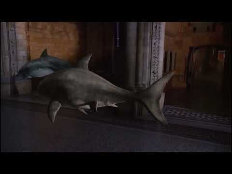 Natural History Museum Alive [2014] - Ichthyosaurus Screen Time