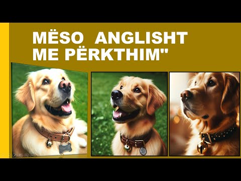 Meso anglisht me perkthim: mesimi."4