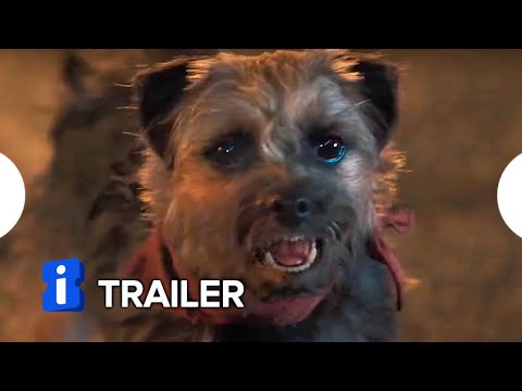 Ruim Pra Cachorro - Trailer