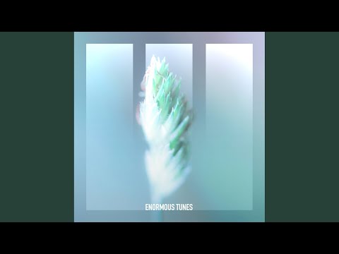 Silent Echoes (Extended Mix)