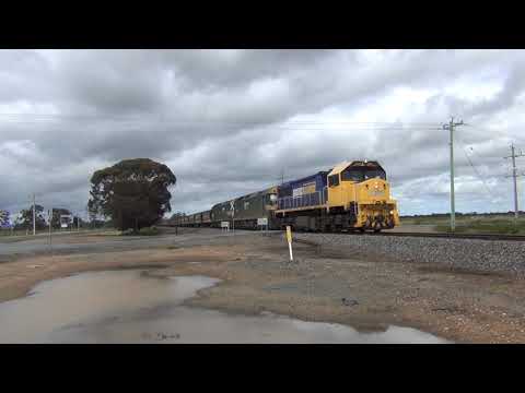 PNs BG XR557 / G528 & G524 on the Tocumwal Line at Wunghnu , Numurkah & Katunga 16.10.2021