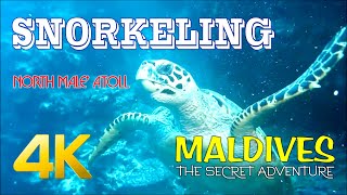 Snorkeling in North Male Atoll, Maldives - Relaxing Music With Coral Reefs &amp;amp; Colorful Sea Life in 4K