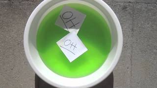 Bad Dog - Neon Hitch Lyric Musicvideo