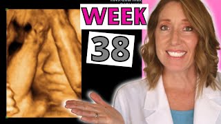 38 Weeks Pregnant | Pregnancy Week by Week and Signs of Labor