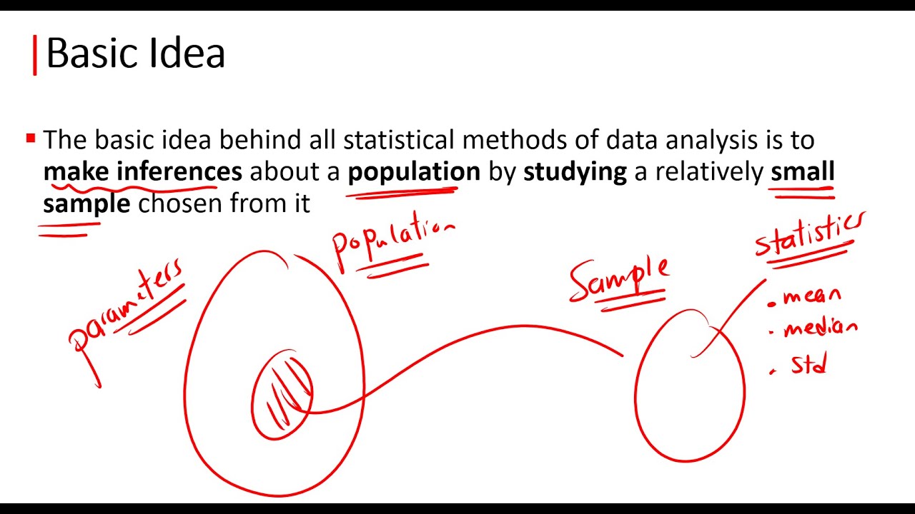 📊 Statistics - What Is It and Why? 📈