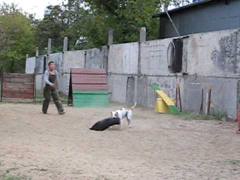 tashta mi uchi kucheto za parva sreshta s men