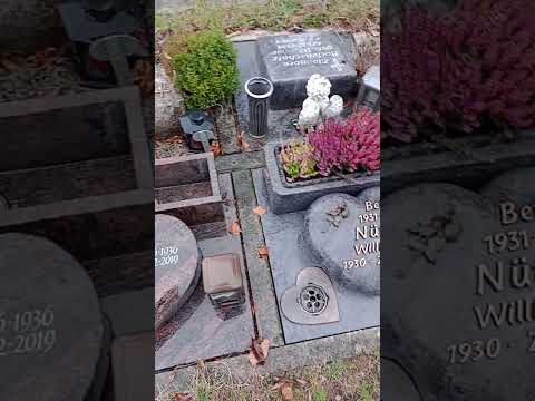 Das Grab der Mutter u. Tante einer Fünfkämperin als im Herbst die Planzen weg waren u. vor den Neuen