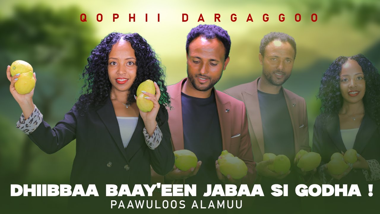 Dhiibbaa Baay'een Jabaa Si Godha ! -Paawuloos Alamuu Qophii Dargaggoo