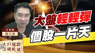 大盤輕輕彈 個股一片天 (圖)