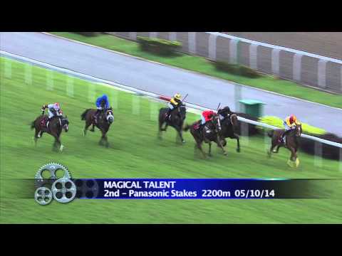 Longines Singapore Gold Cup 2014 Contenders (Magical Talent)