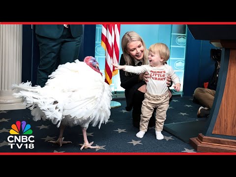 WATCH: Karoline Leavitt With Her Son Makes An Appearance With Waddle The Thanksgiving Turkey | N18G