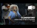 Chico César & Nova Orquestra – “Clandestino” | Te Vejo No Palco 2025