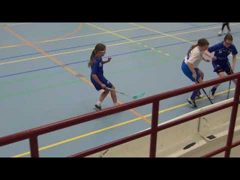 Nibacos valk -  Nibacos sin Tähtihalli Uusikaarlepyy