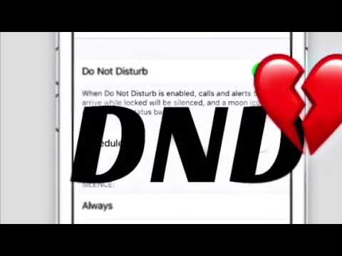 NyTheKid - “DND” (ft. Lil Biscuitt) [Audio]