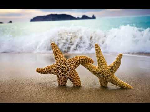 Dj Joss-lay FT Tupou Kanimoa. Kua paaki sioku ofa kiou fofoga❤