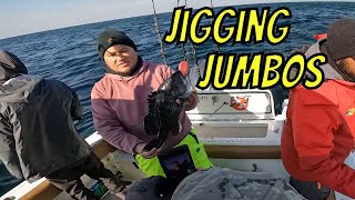 JUMBO FEBRUARY SEA BASS TRIP